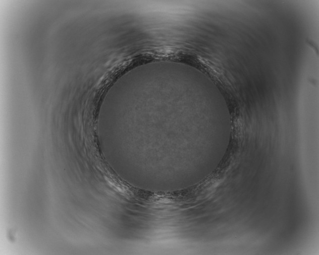 X0000102820913200808181242