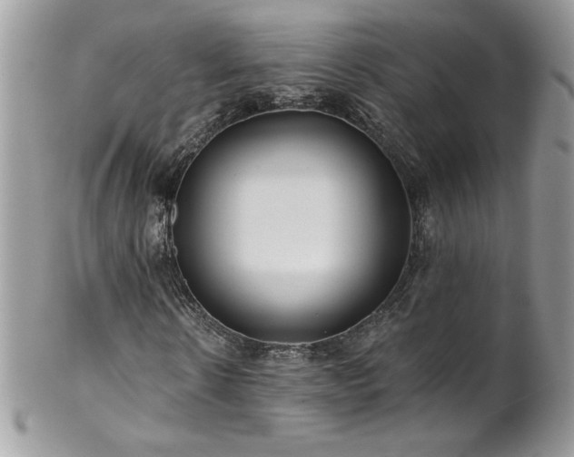 X0000102820914200808181242
