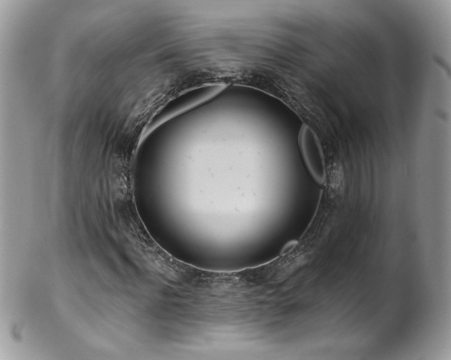 X0000102820916200808181242