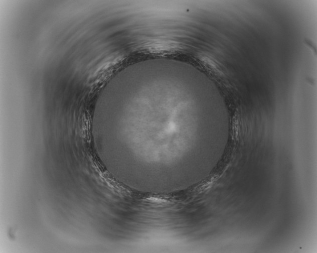 X0000102820917200808181242