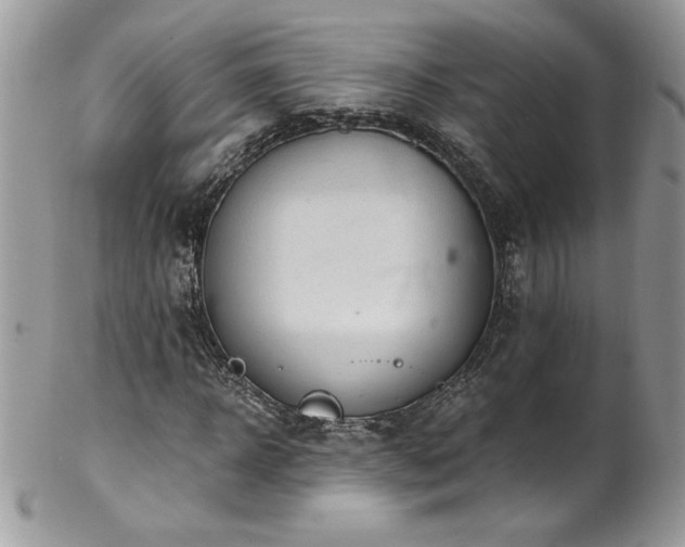 X0000102820918200808181242