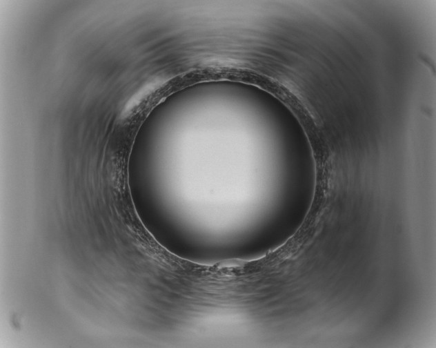 X0000102820919200808181242