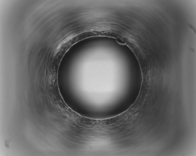 X0000102820920200808181242