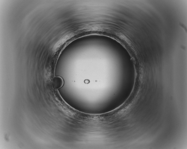 X0000102820922200808181242