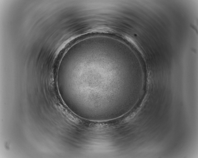 X0000102820923200808181242