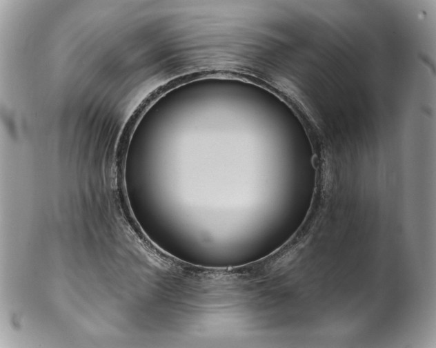 X0000102820924200808181242