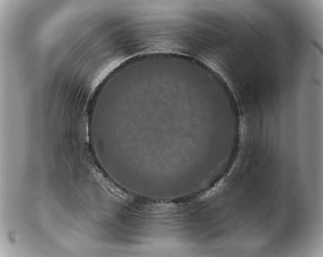 X0000102820925200808181242