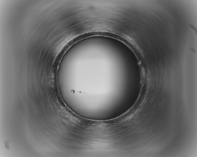 X0000102820926200808181242