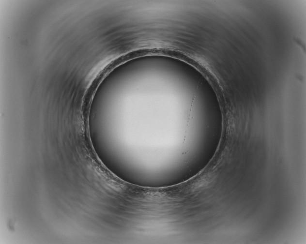 X0000102820927200808181242