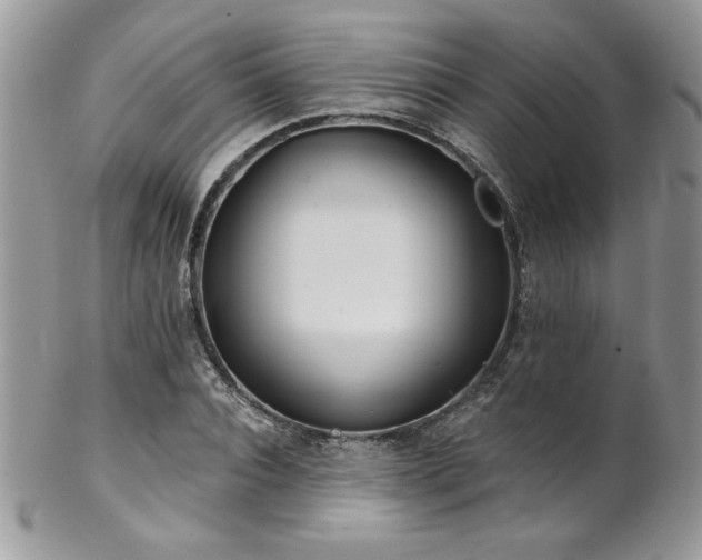 X0000102820928200808181242