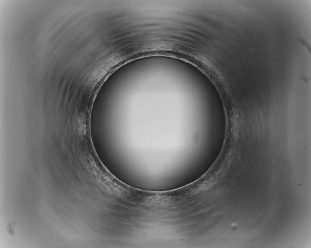 X0000102820929200808181242