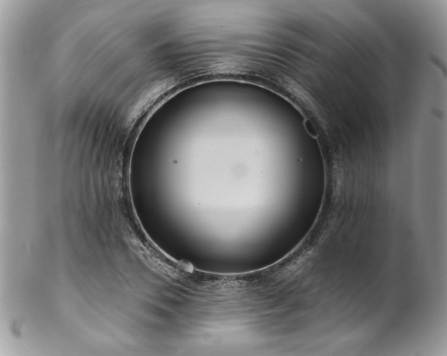 X0000102820930200808181242