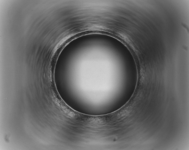 X0000102820931200808181242