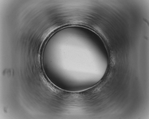 X0000102820932200808181242