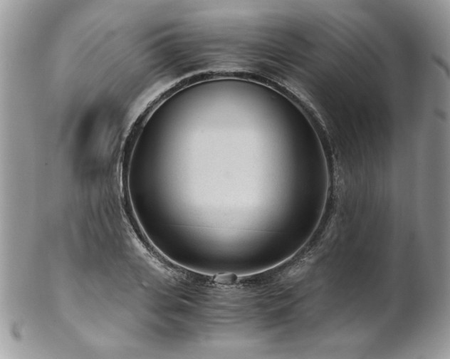 X0000102820935200808181243