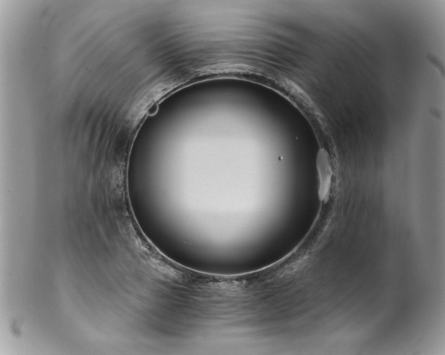 X0000102820937200808181243