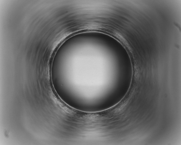 X0000102820939200808181243