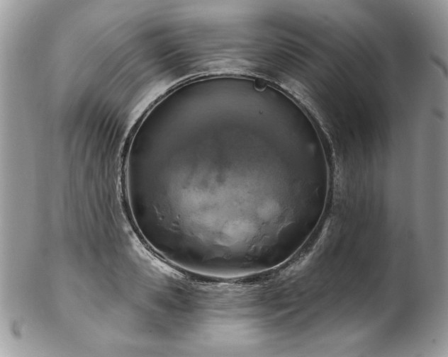 X0000102820941200808181243