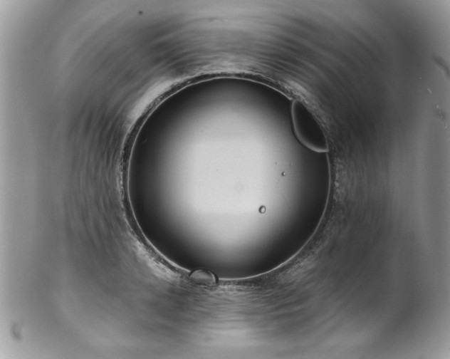 X0000102820942200808181243