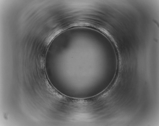 X0000102820945200808181243