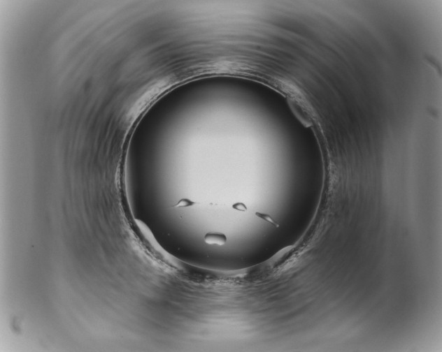 X0000102820946200808181243