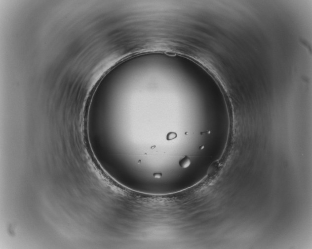 X0000102820949200808181243