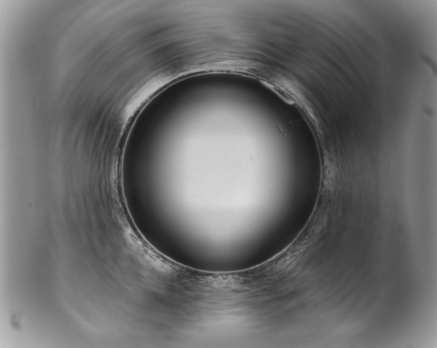 X0000102820952200808181243