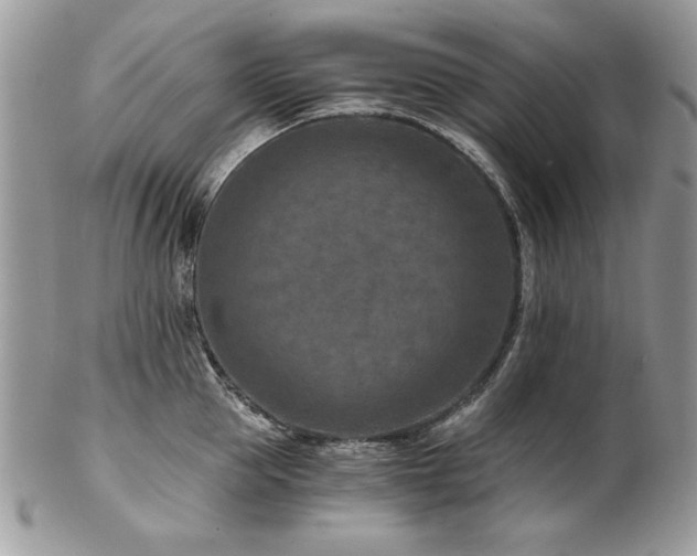 X0000102820953200808181243