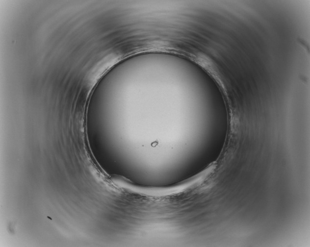 X0000102820954200808181243