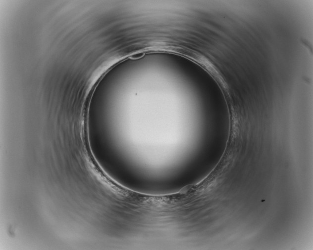 X0000102820955200808181243