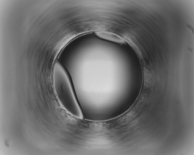 X0000102820956200808181243