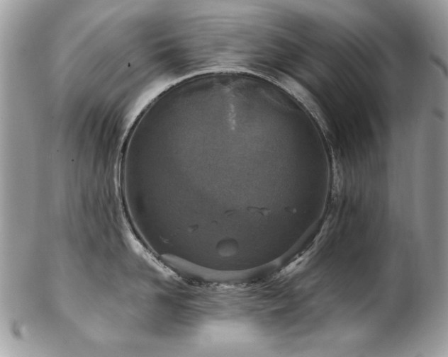X0000102820958200808181243