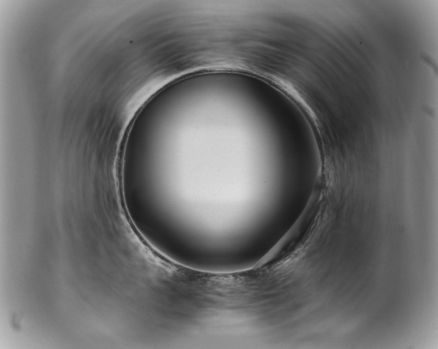 X0000102820959200808181243