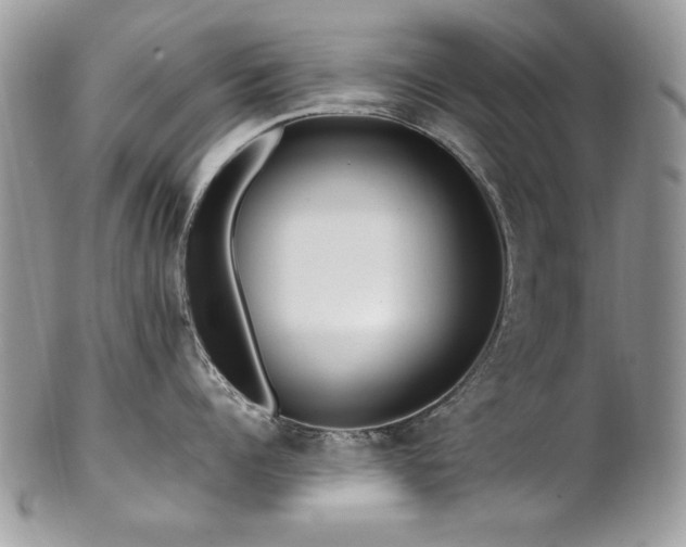 X0000102820960200808181243