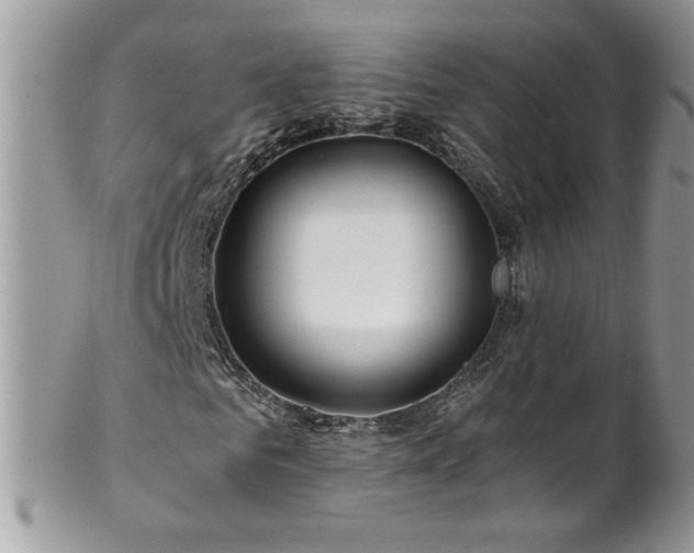 X0000102820961200808181242