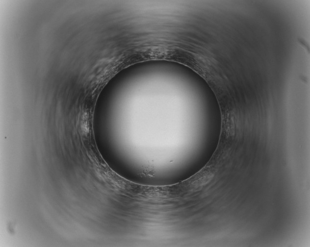 X0000102820962200808181242