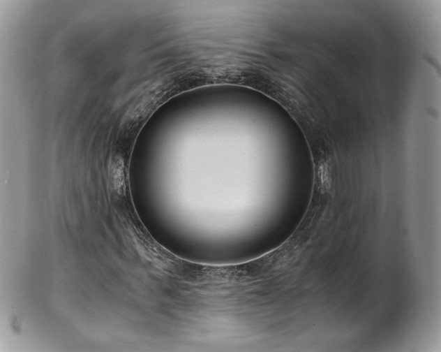 X0000102820963200808181242