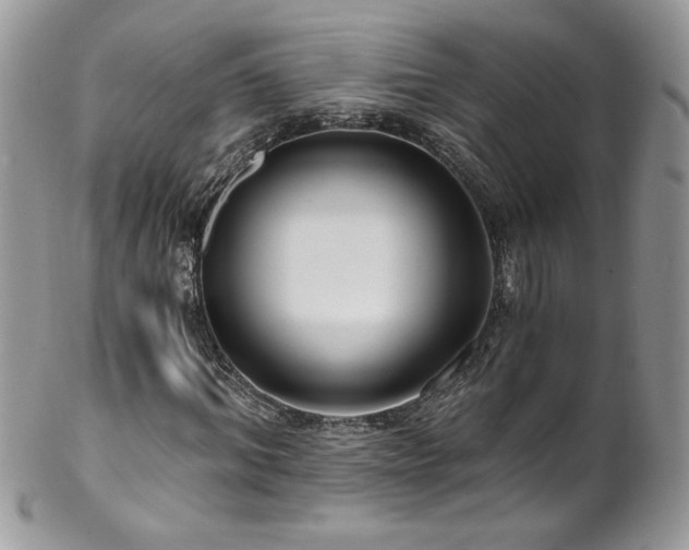 X0000102820964200808181242