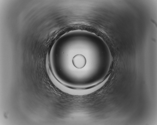 X0000102820965200808181242