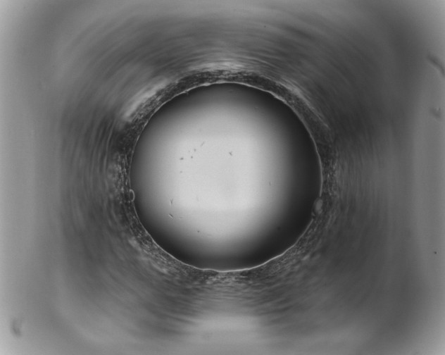 X0000102820967200808181242