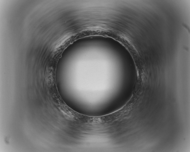 X0000102820968200808181242