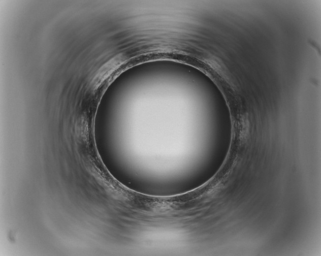 X0000102820969200808181242