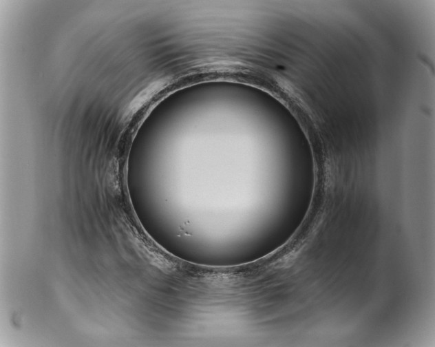 X0000102820970200808181242