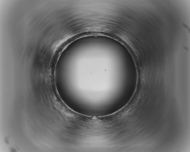 X0000102820971200808181242