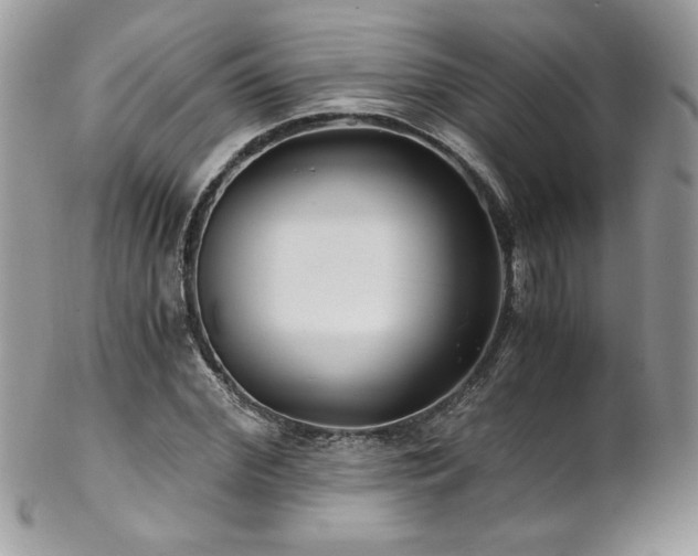 X0000102820972200808181242