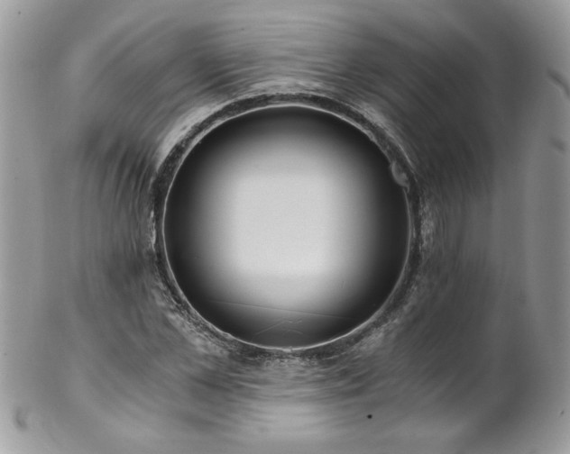 X0000102820973200808181242