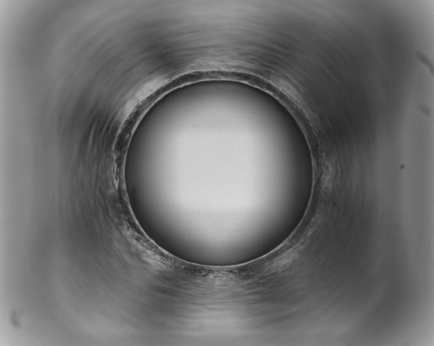 X0000102820974200808181242