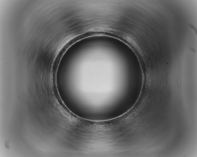 X0000102820976200808181242
