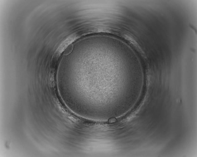 X0000102820977200808181242