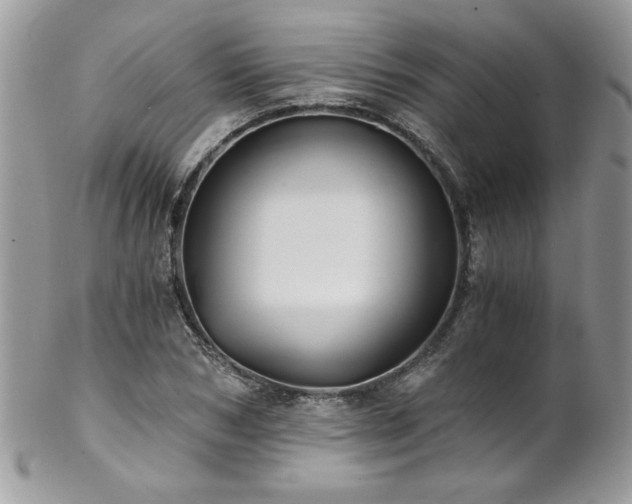 X0000102820978200808181242